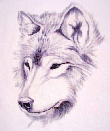nádherný vlk